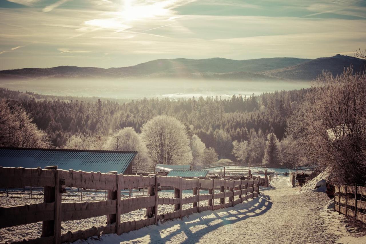 Landhotel Zum Matthiasl Bischofsreut Bagian luar foto